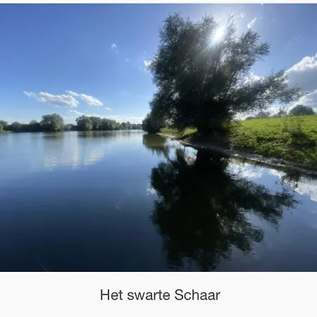 Strand-