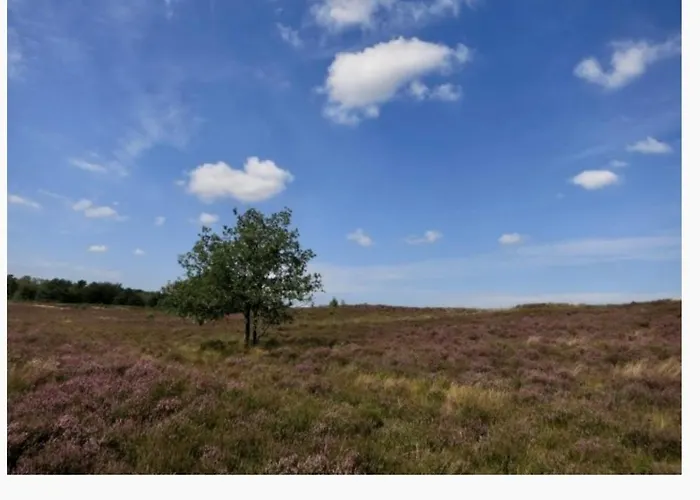 Chalet Strand- Olburgen